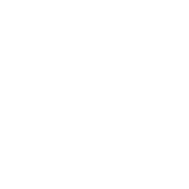AUTO TOTE